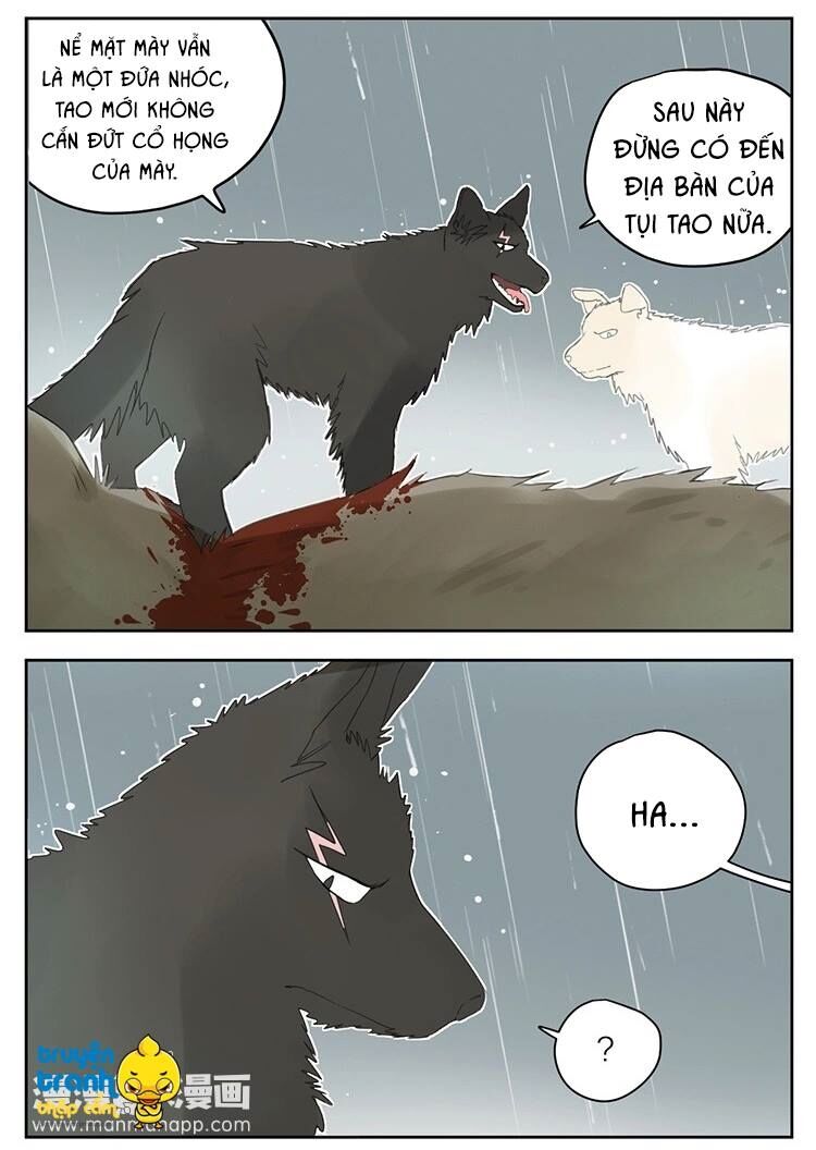 Cứu mạng ! Loài mèo thống trị thế giới rồi !: Chapter 25
