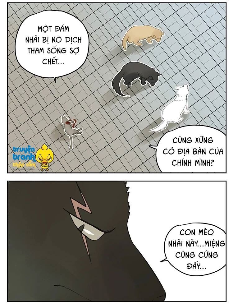 Cứu mạng ! Loài mèo thống trị thế giới rồi !: Chapter 25
