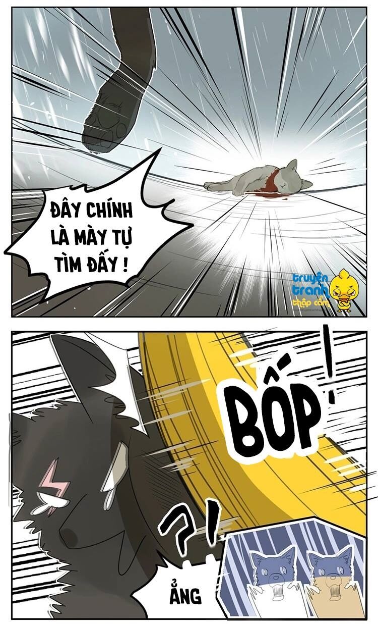 Cứu mạng ! Loài mèo thống trị thế giới rồi !: Chapter 25