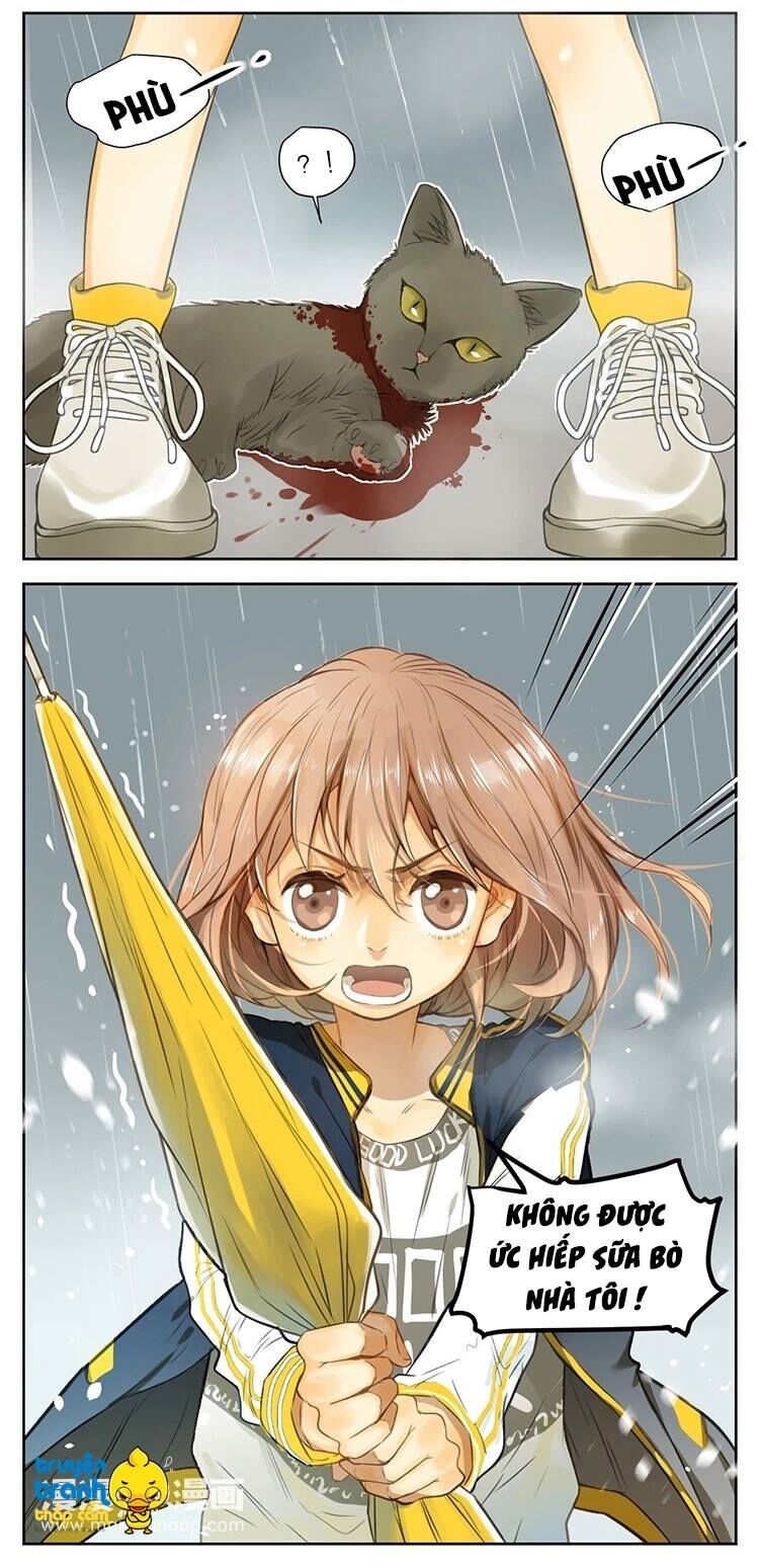 Cứu mạng ! Loài mèo thống trị thế giới rồi !: Chapter 25