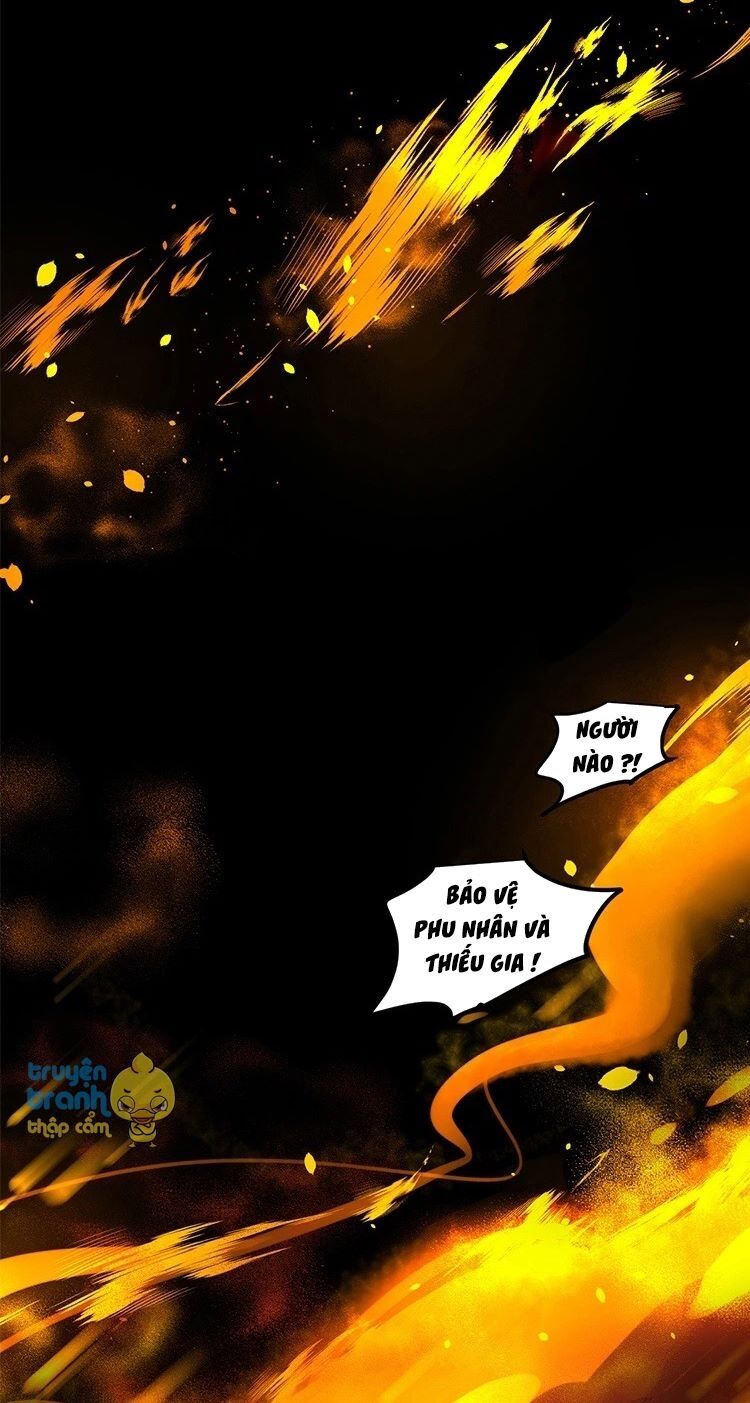 Cứu mạng ! Loài mèo thống trị thế giới rồi !: Chapter 25