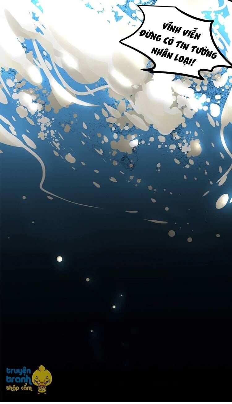 Cứu mạng ! Loài mèo thống trị thế giới rồi !: Chapter 25