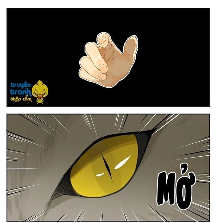 Cứu mạng ! Loài mèo thống trị thế giới rồi !: Chapter 25