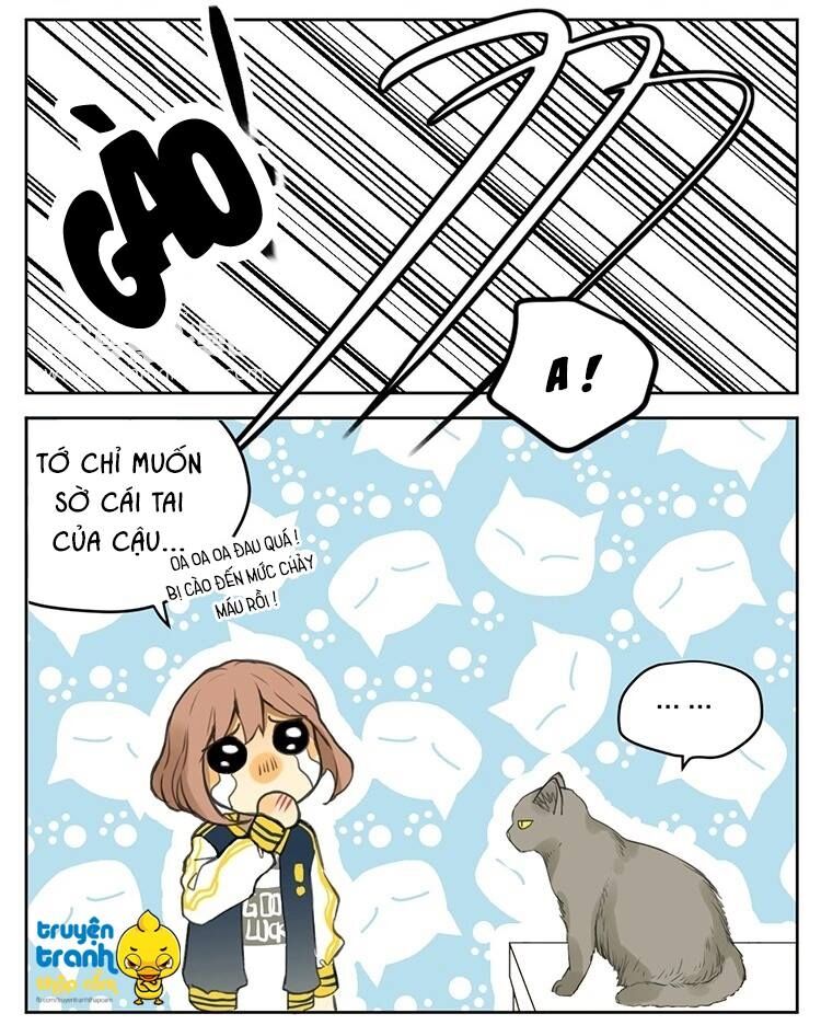 Cứu mạng ! Loài mèo thống trị thế giới rồi !: Chapter 25