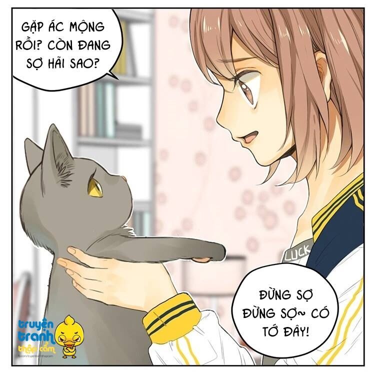 Cứu mạng ! Loài mèo thống trị thế giới rồi !: Chapter 25