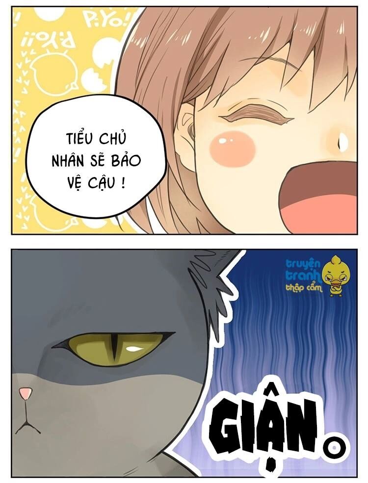 Cứu mạng ! Loài mèo thống trị thế giới rồi !: Chapter 25