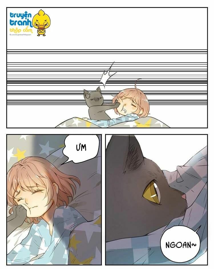 Cứu mạng ! Loài mèo thống trị thế giới rồi !: Chapter 26