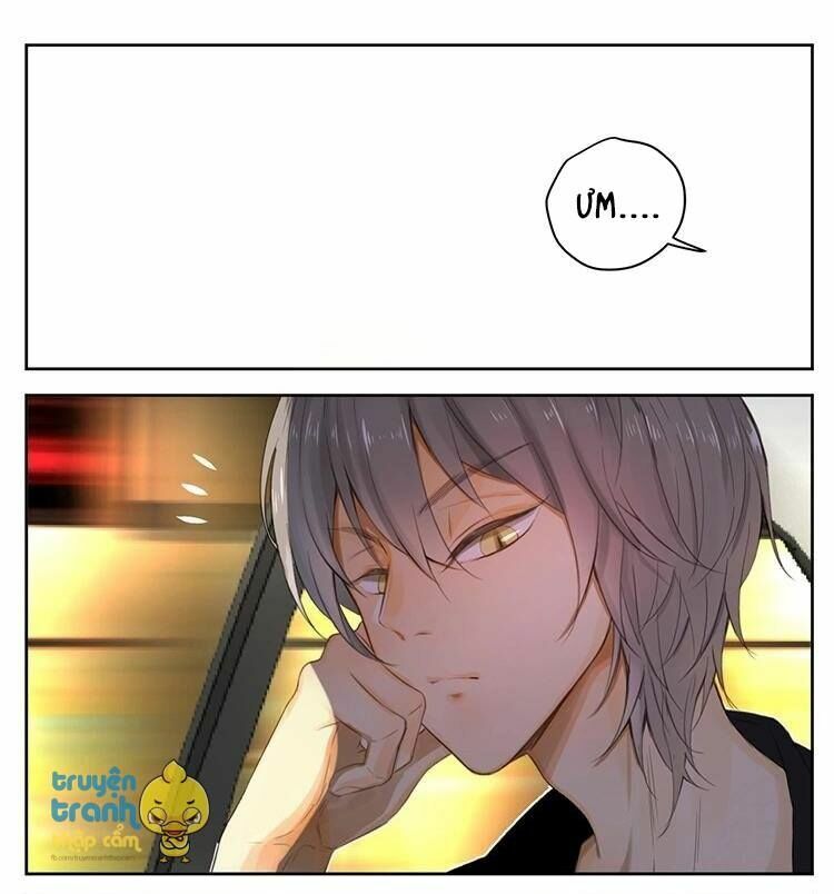 Cứu mạng ! Loài mèo thống trị thế giới rồi !: Chapter 26