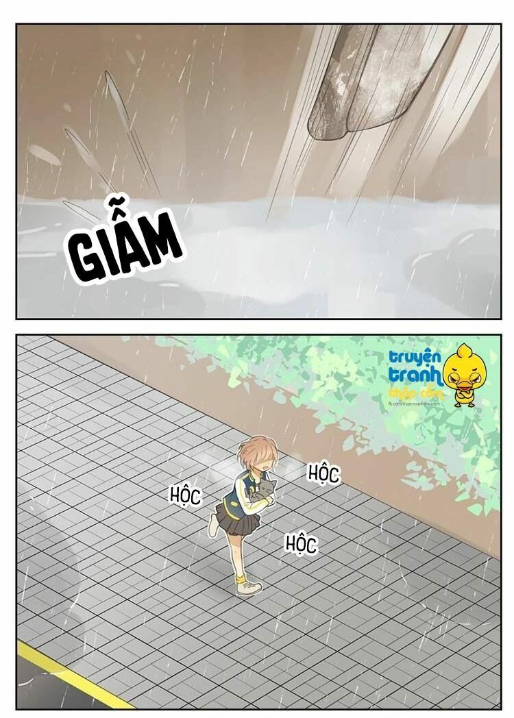 Cứu mạng ! Loài mèo thống trị thế giới rồi !: Chapter 26