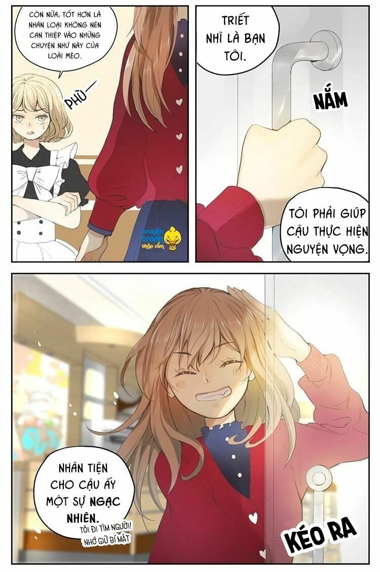 Cứu mạng ! Loài mèo thống trị thế giới rồi !: Chapter 27
