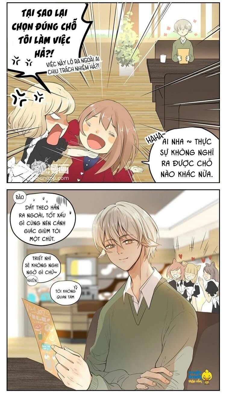 Cứu mạng ! Loài mèo thống trị thế giới rồi !: Chapter 27