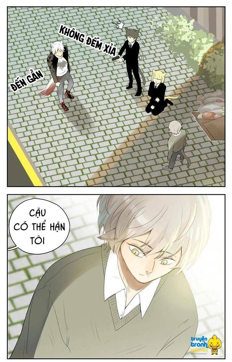 Cứu mạng ! Loài mèo thống trị thế giới rồi !: Chapter 28