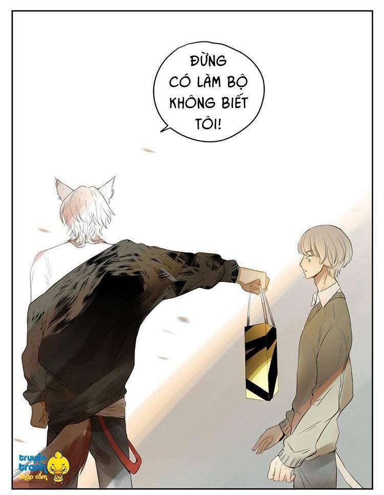 Cứu mạng ! Loài mèo thống trị thế giới rồi !: Chapter 28