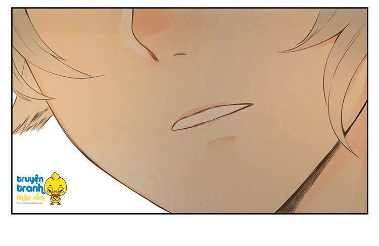Cứu mạng ! Loài mèo thống trị thế giới rồi !: Chapter 28