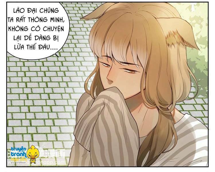 Cứu mạng ! Loài mèo thống trị thế giới rồi !: Chapter 28
