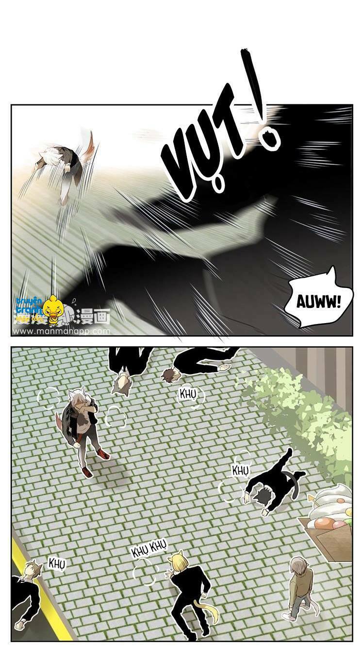 Cứu mạng ! Loài mèo thống trị thế giới rồi !: Chapter 28