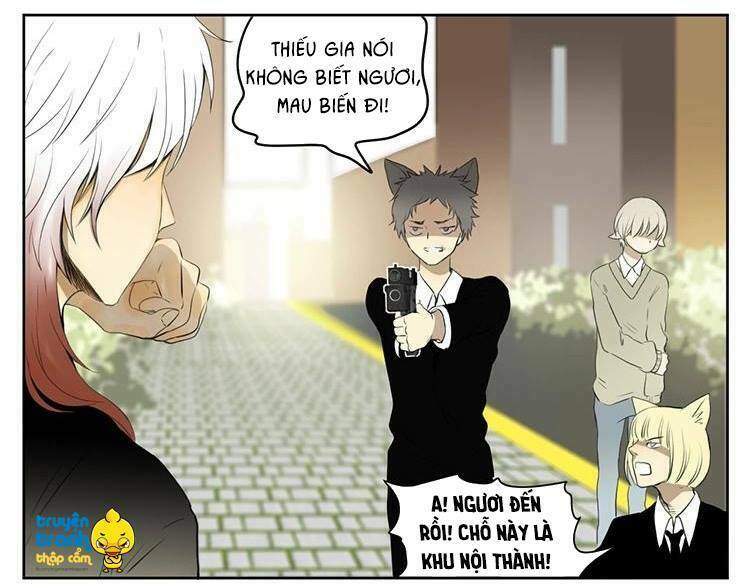 Cứu mạng ! Loài mèo thống trị thế giới rồi !: Chapter 28