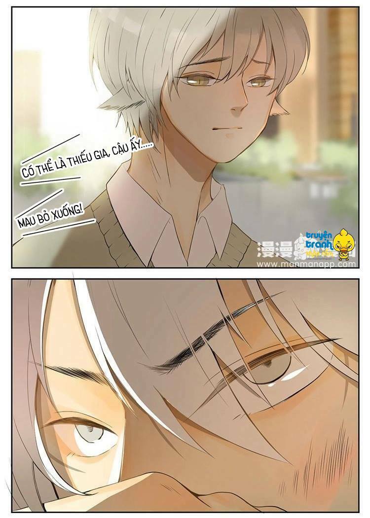 Cứu mạng ! Loài mèo thống trị thế giới rồi !: Chapter 28