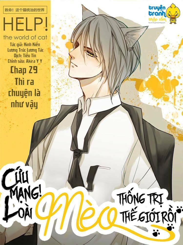 Cứu mạng ! Loài mèo thống trị thế giới rồi !: Chapter 29