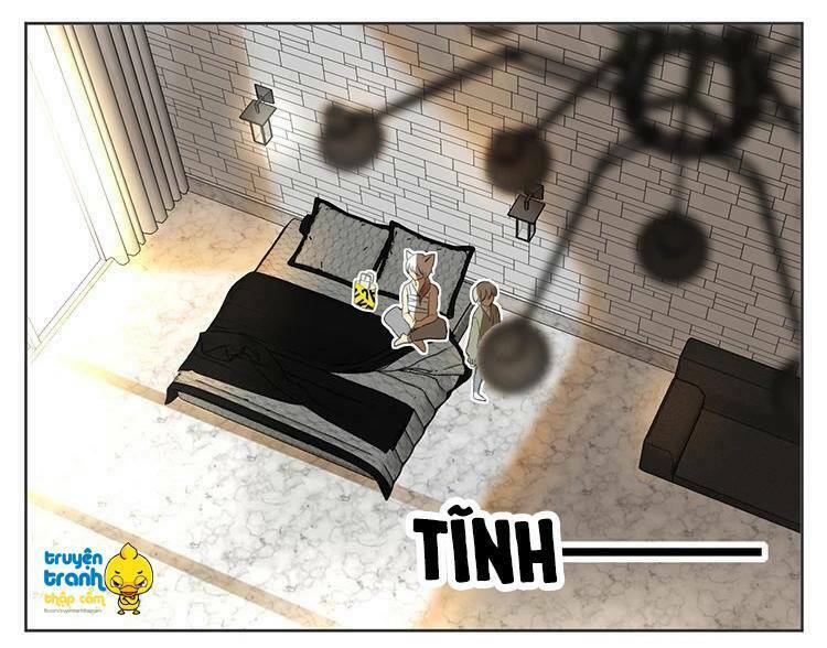 Cứu mạng ! Loài mèo thống trị thế giới rồi !: Chapter 29