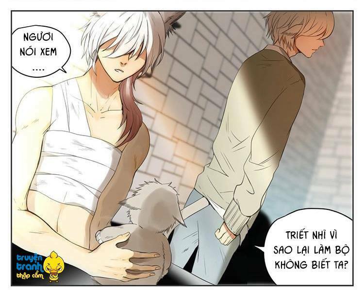 Cứu mạng ! Loài mèo thống trị thế giới rồi !: Chapter 29