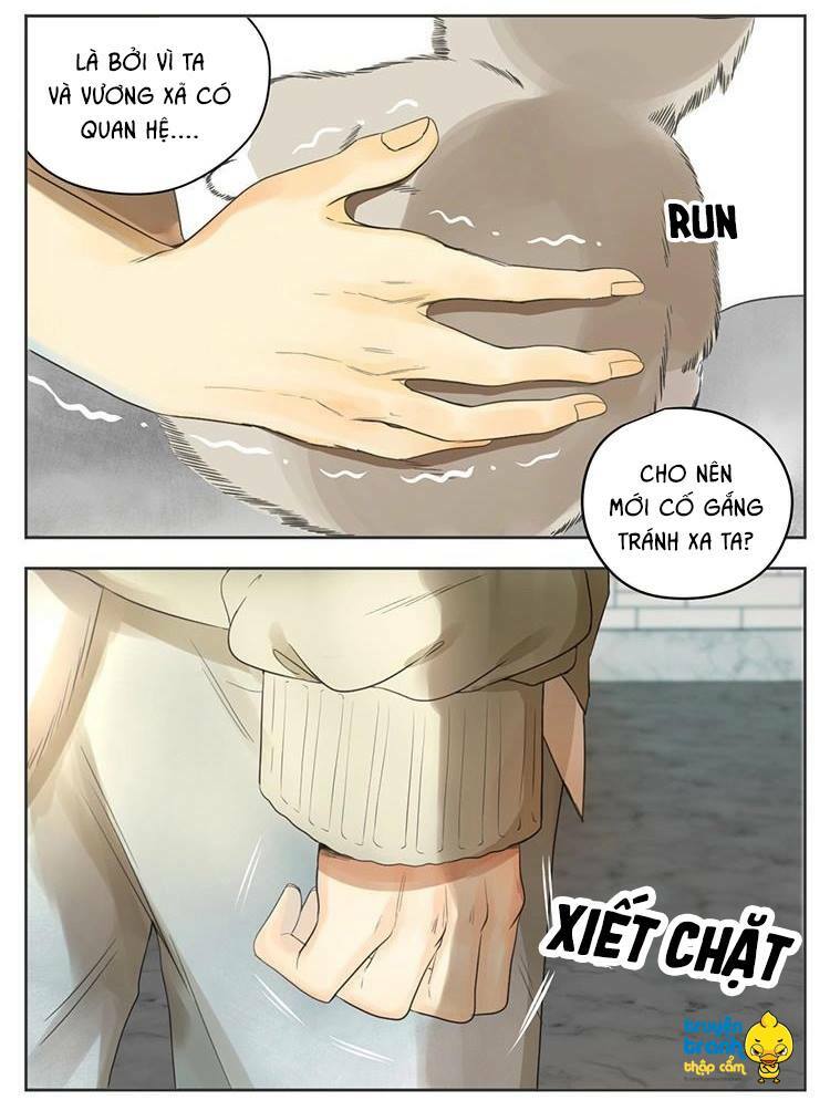 Cứu mạng ! Loài mèo thống trị thế giới rồi !: Chapter 29