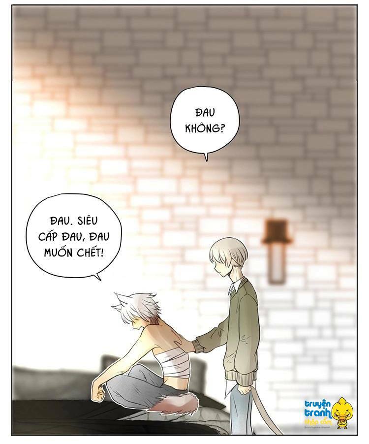 Cứu mạng ! Loài mèo thống trị thế giới rồi !: Chapter 29