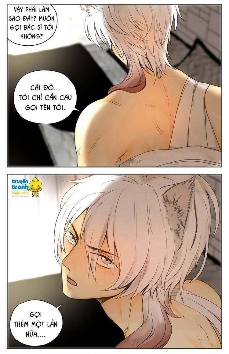 Cứu mạng ! Loài mèo thống trị thế giới rồi !: Chapter 29