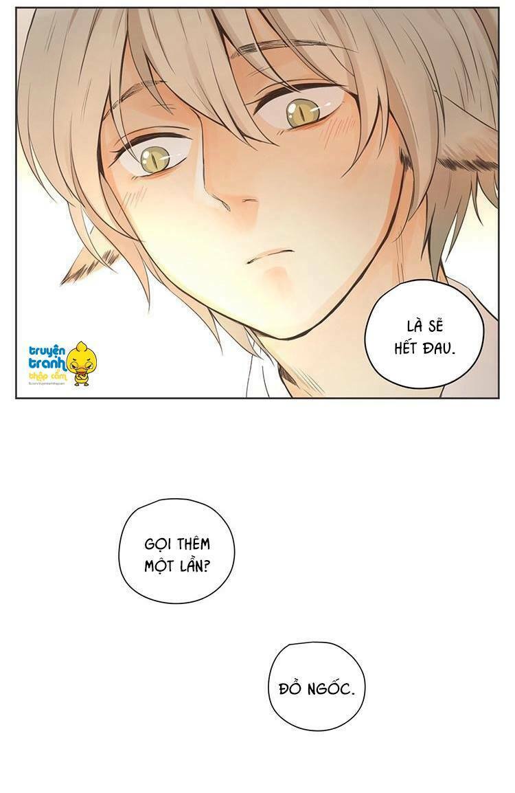 Cứu mạng ! Loài mèo thống trị thế giới rồi !: Chapter 29