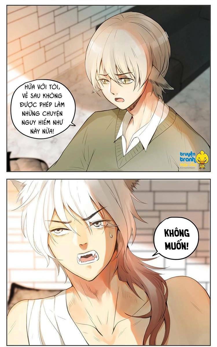 Cứu mạng ! Loài mèo thống trị thế giới rồi !: Chapter 29
