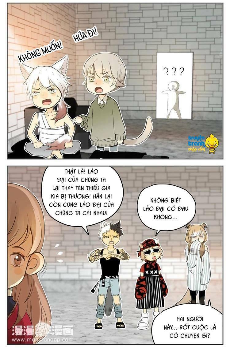 Cứu mạng ! Loài mèo thống trị thế giới rồi !: Chapter 29