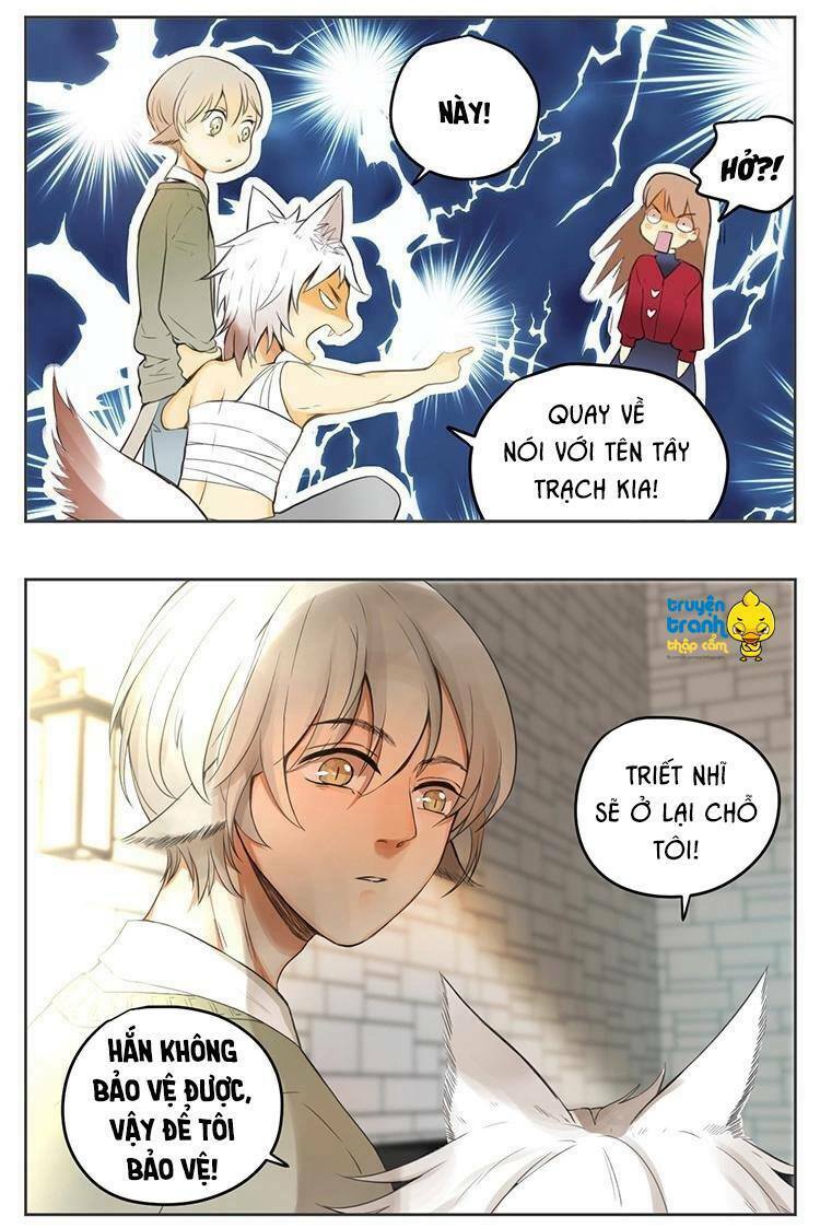 Cứu mạng ! Loài mèo thống trị thế giới rồi !: Chapter 29