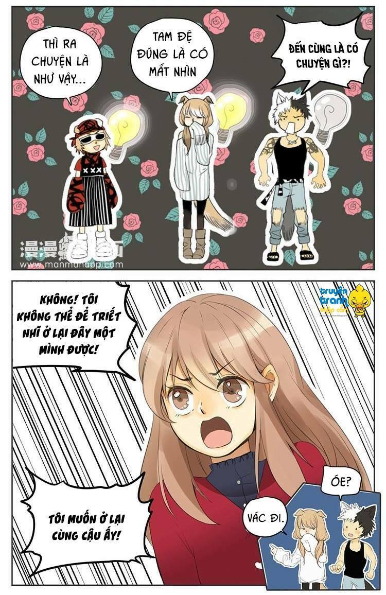 Cứu mạng ! Loài mèo thống trị thế giới rồi !: Chapter 29