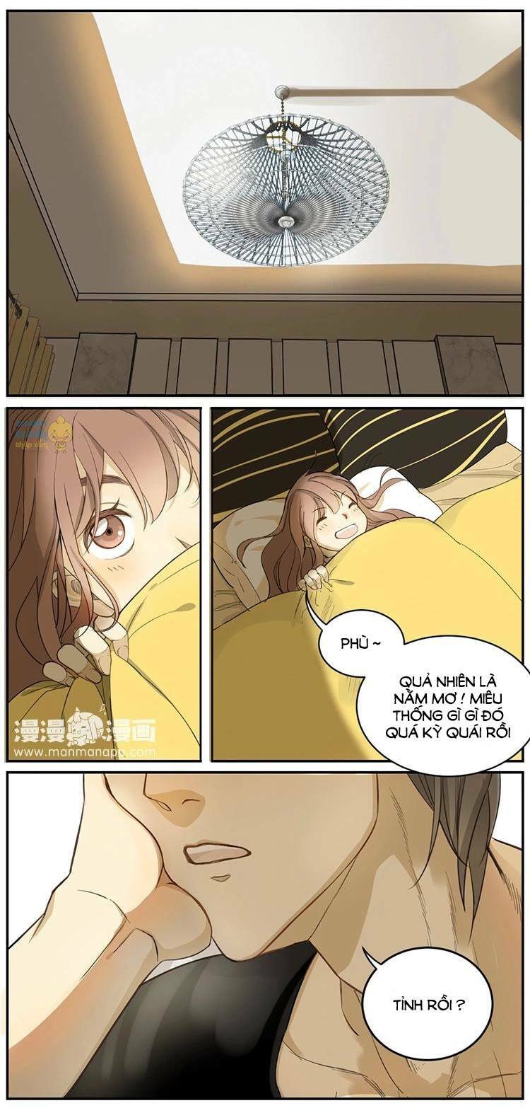 Cứu mạng ! Loài mèo thống trị thế giới rồi !: Chapter 3