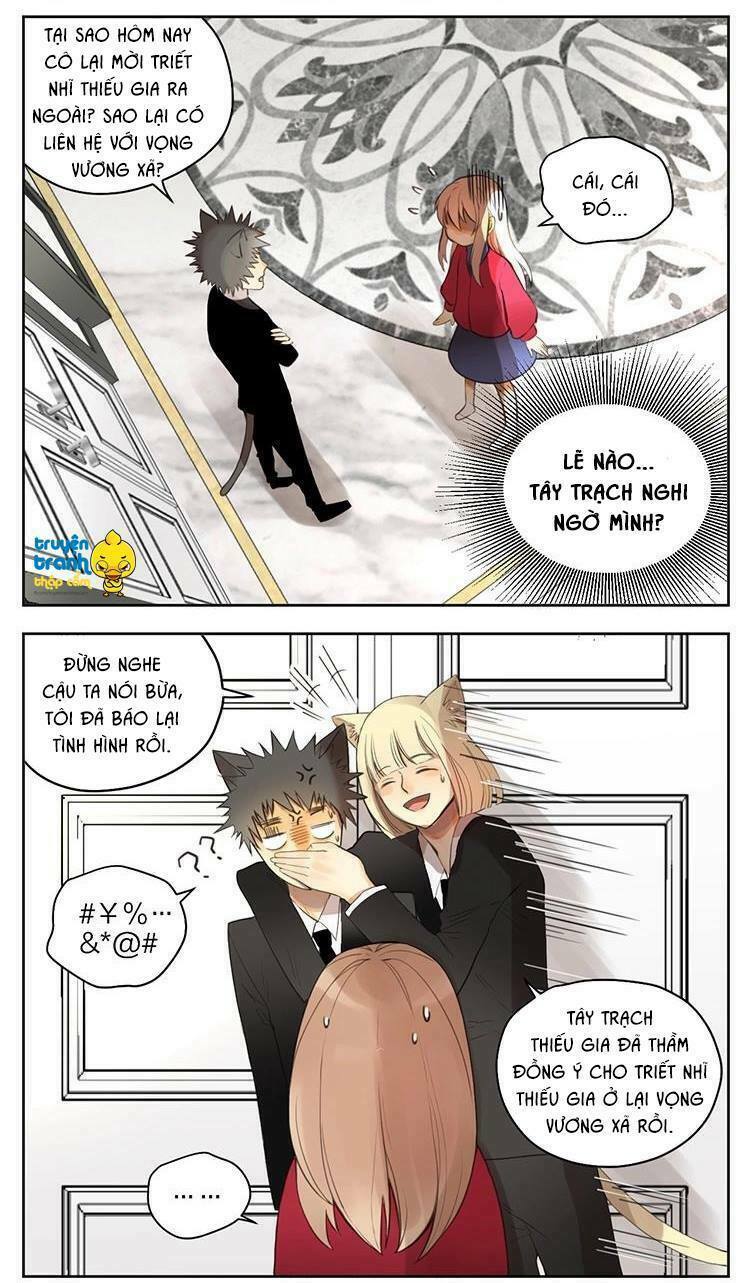 Cứu mạng ! Loài mèo thống trị thế giới rồi !: Chapter 30