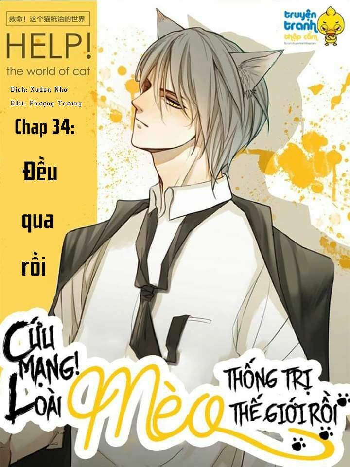 Cứu mạng ! Loài mèo thống trị thế giới rồi !: Chapter 34