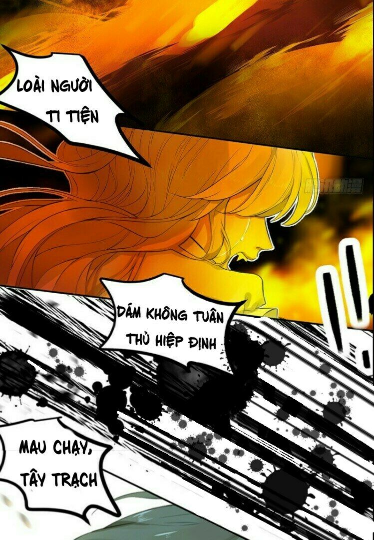 Cứu mạng ! Loài mèo thống trị thế giới rồi !: Chapter 34
