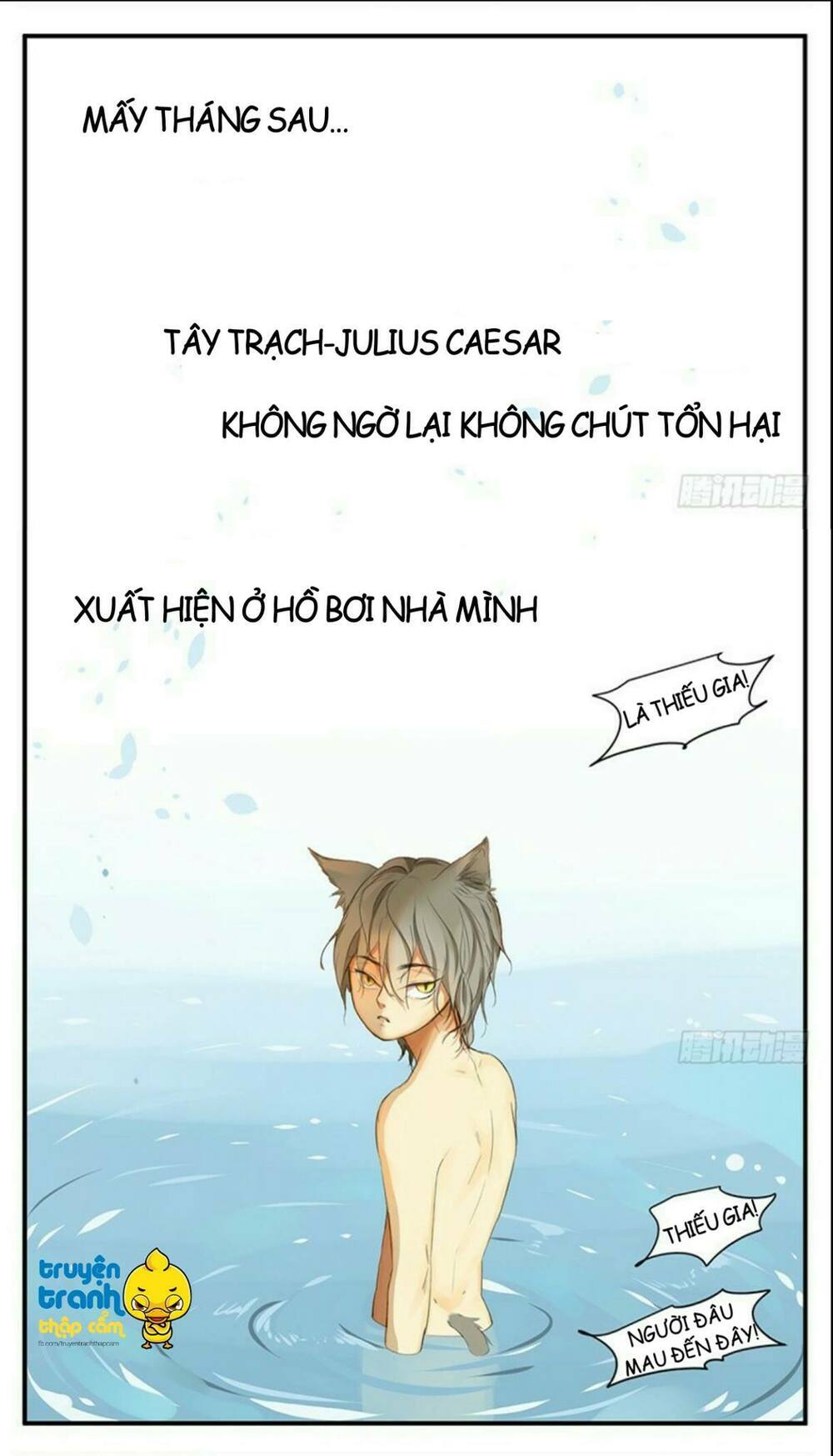 Cứu mạng ! Loài mèo thống trị thế giới rồi !: Chapter 34