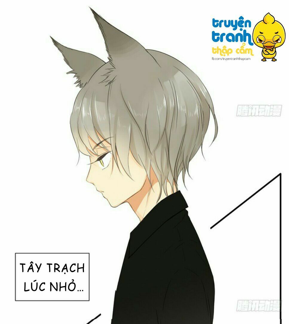 Cứu mạng ! Loài mèo thống trị thế giới rồi !: Chapter 34