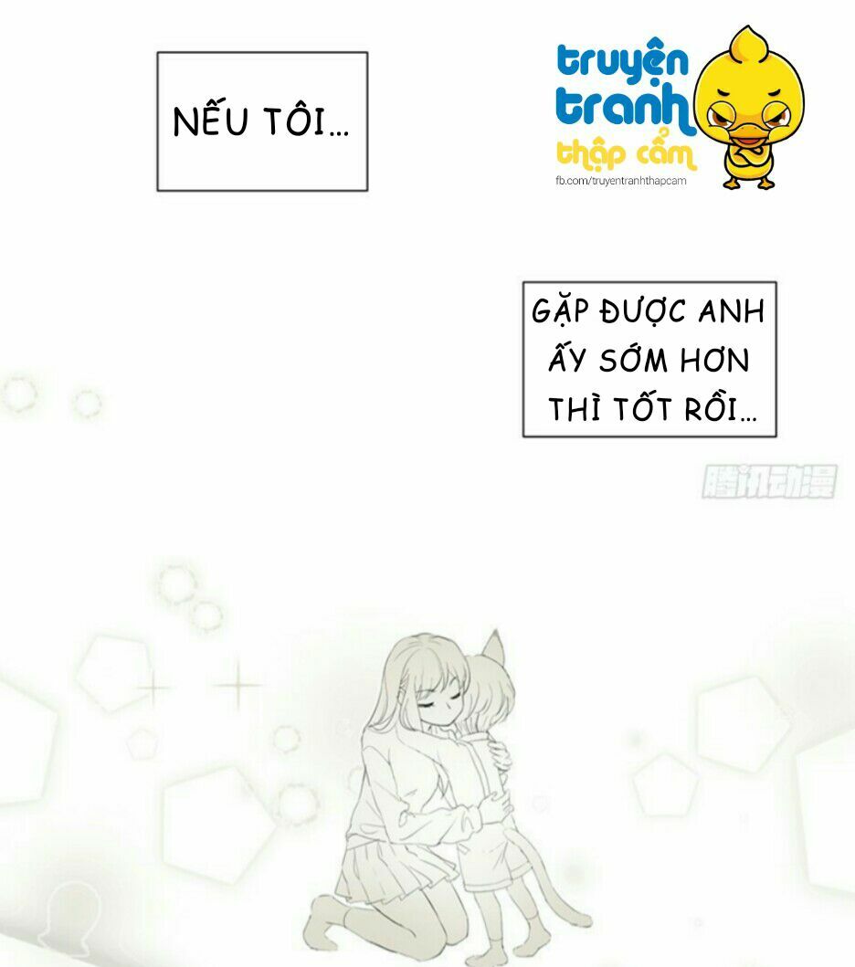 Cứu mạng ! Loài mèo thống trị thế giới rồi !: Chapter 34