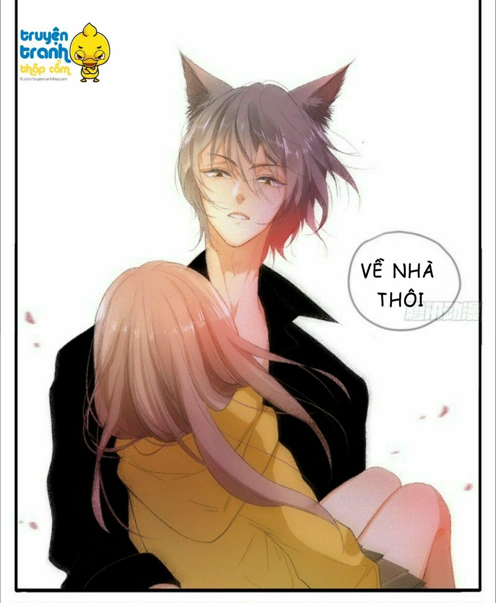 Cứu mạng ! Loài mèo thống trị thế giới rồi !: Chapter 35