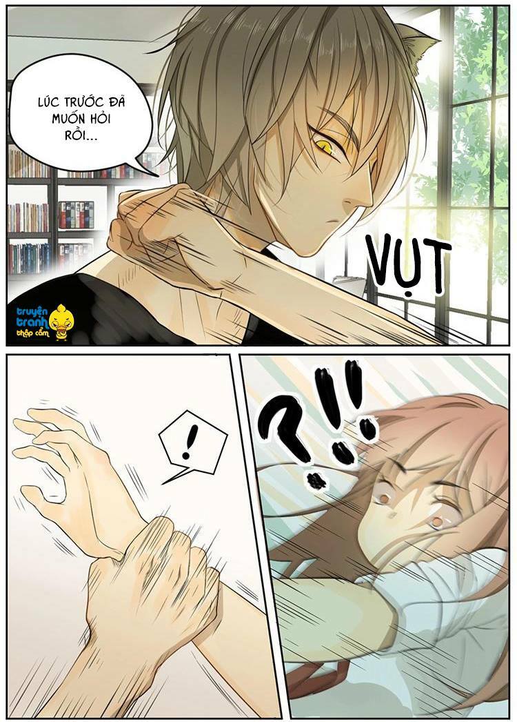 Cứu mạng ! Loài mèo thống trị thế giới rồi !: Chapter 4