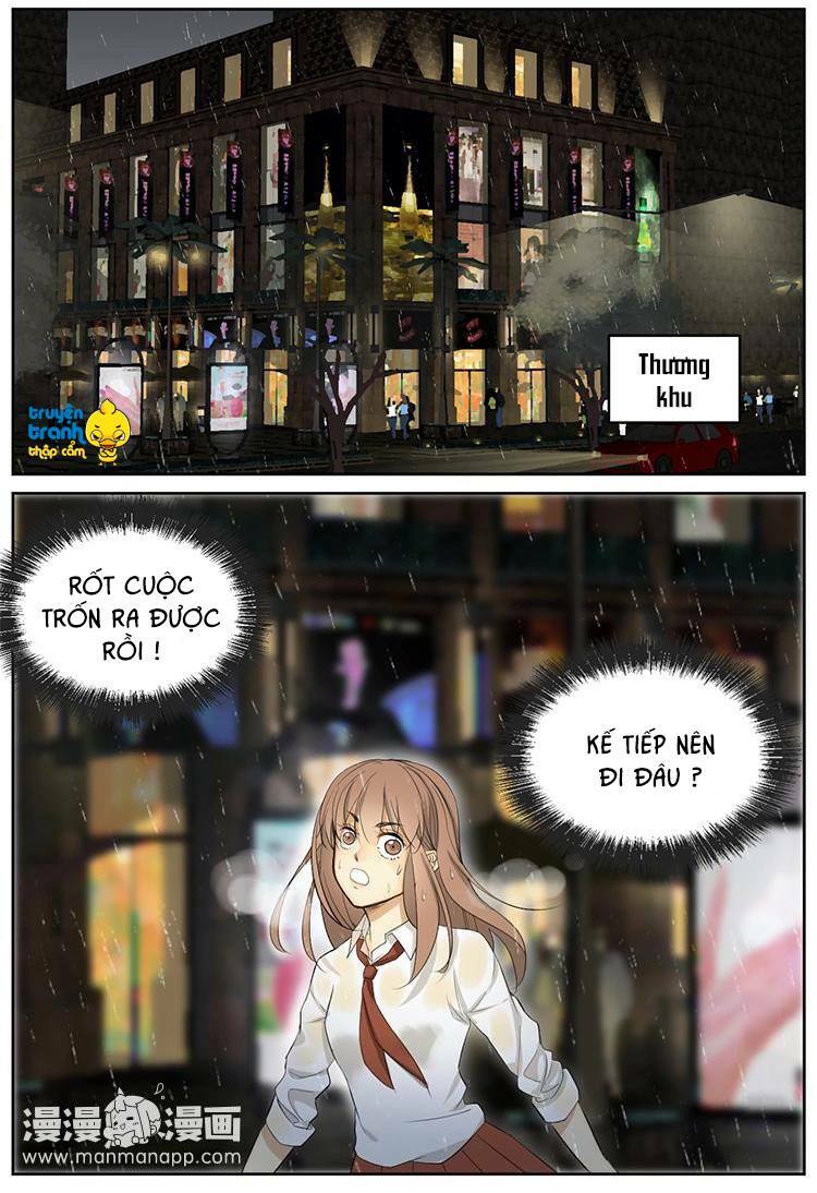 Cứu mạng ! Loài mèo thống trị thế giới rồi !: Chapter 5