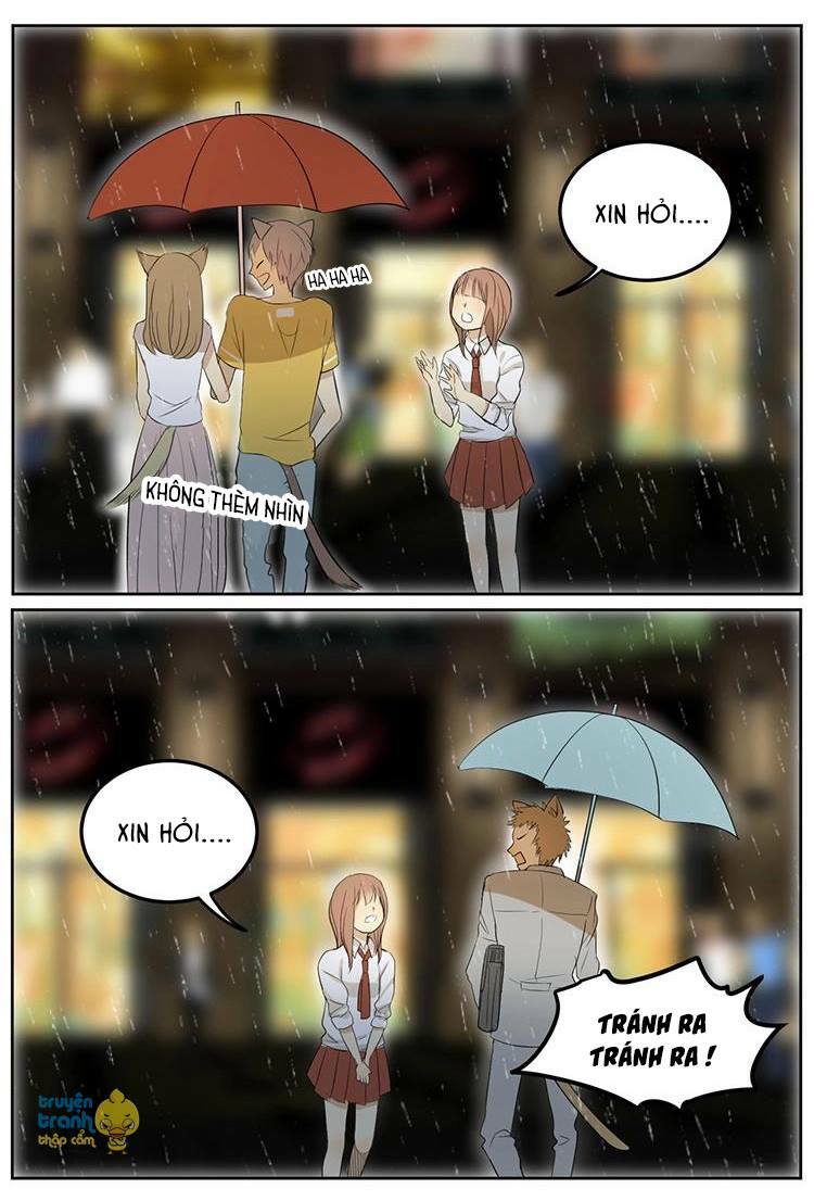 Cứu mạng ! Loài mèo thống trị thế giới rồi !: Chapter 5