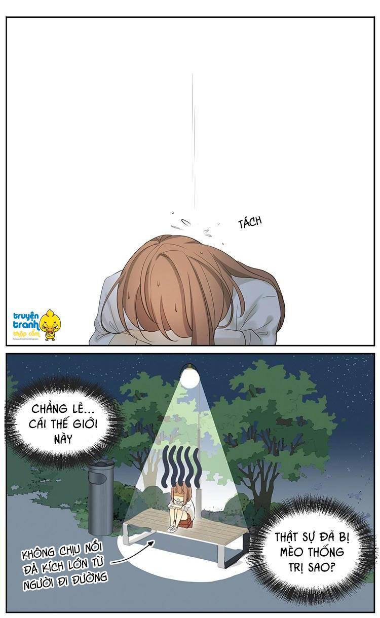 Cứu mạng ! Loài mèo thống trị thế giới rồi !: Chapter 5