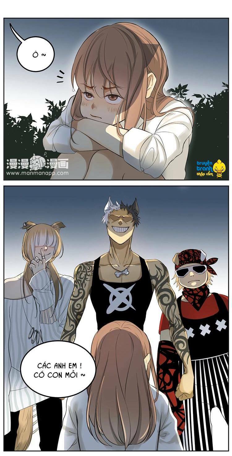 Cứu mạng ! Loài mèo thống trị thế giới rồi !: Chapter 5