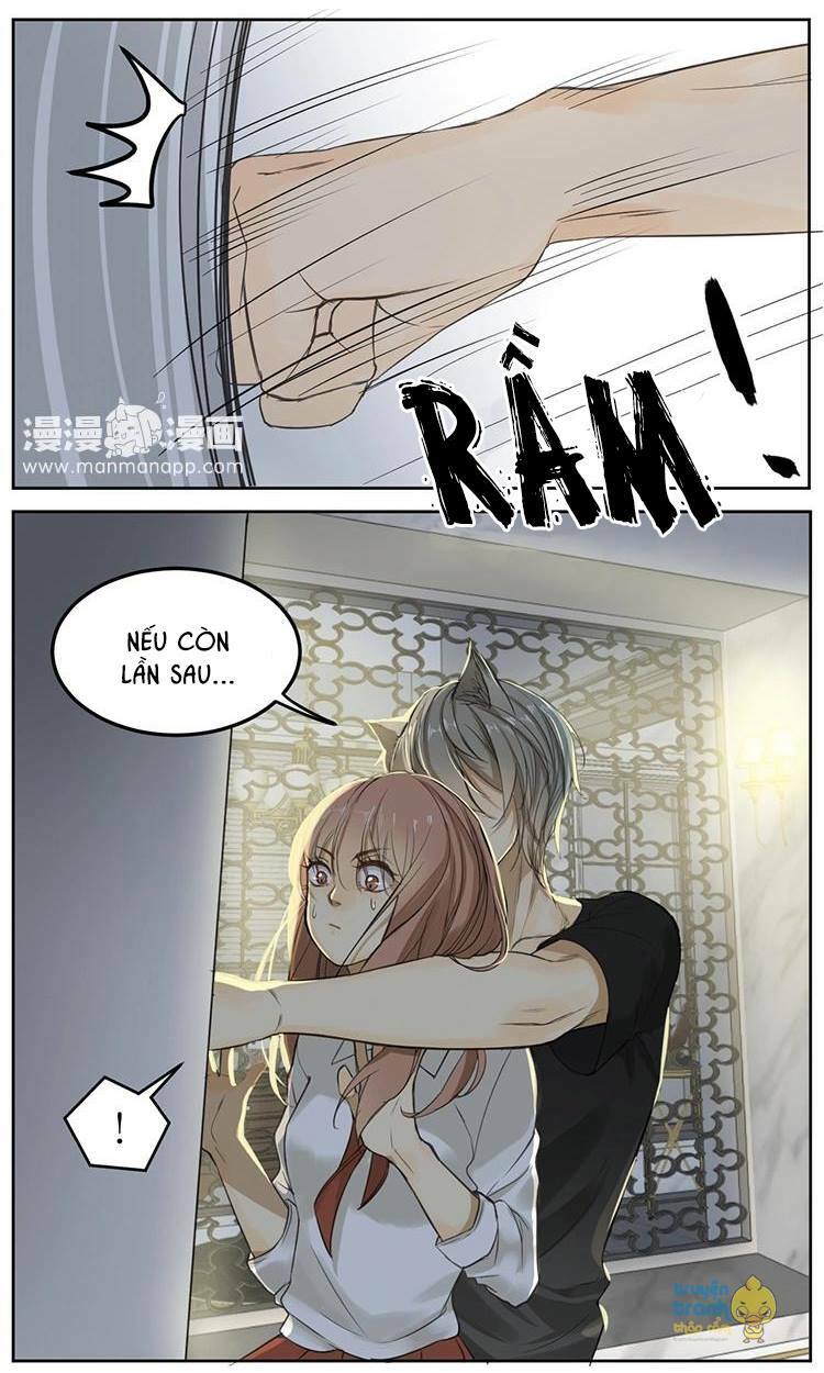 Cứu mạng ! Loài mèo thống trị thế giới rồi !: Chapter 5