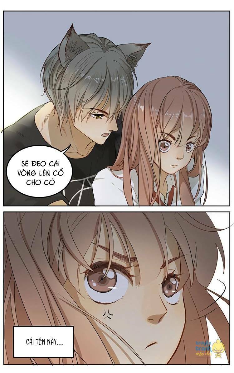Cứu mạng ! Loài mèo thống trị thế giới rồi !: Chapter 5