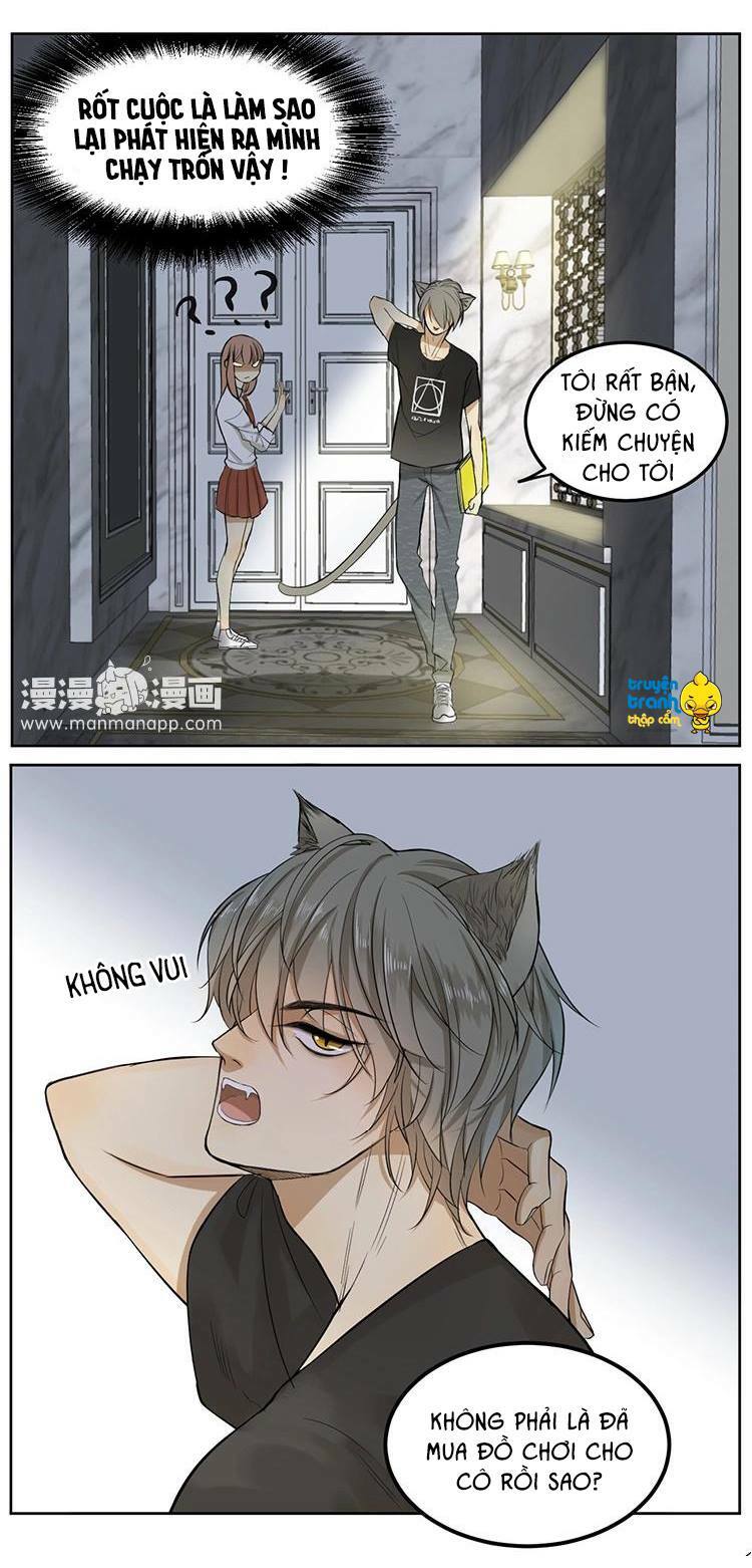 Cứu mạng ! Loài mèo thống trị thế giới rồi !: Chapter 5