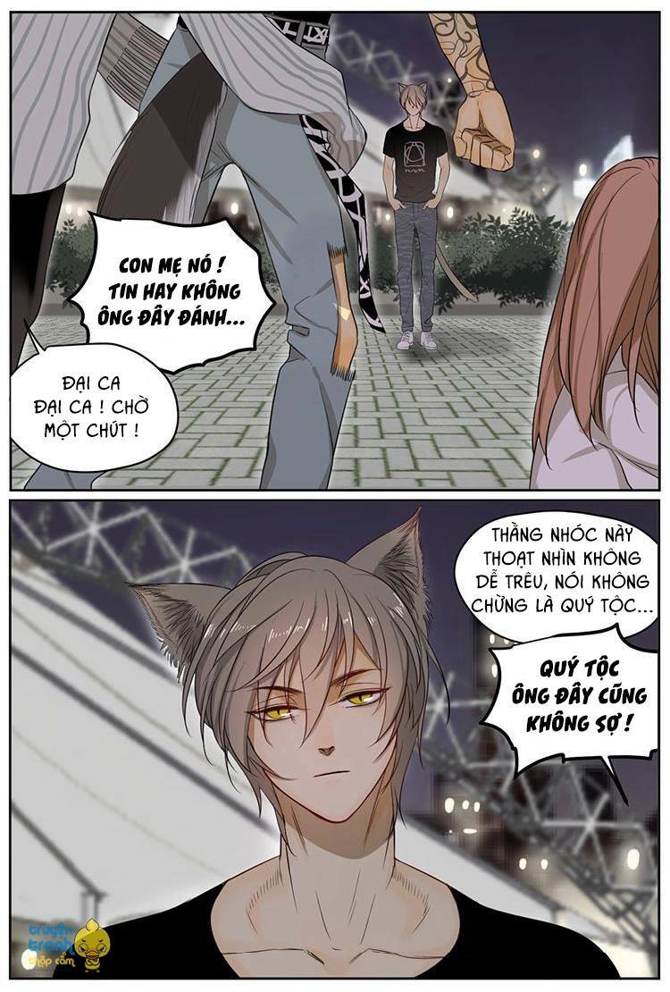 Cứu mạng ! Loài mèo thống trị thế giới rồi !: Chapter 6